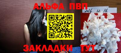 молекула духа Кингисепп