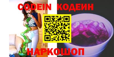 молекула духа Кингисепп