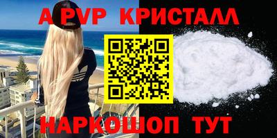молекула духа Кингисепп