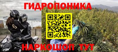 молекула духа Кингисепп