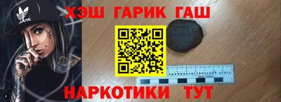 молекула духа Кингисепп