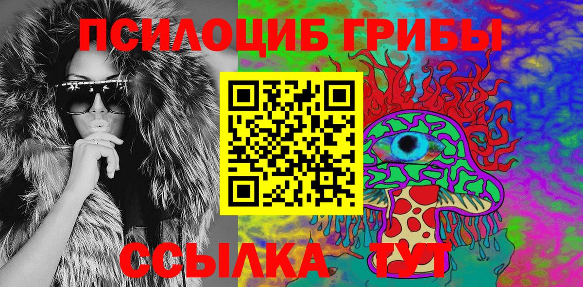 Галлюциногенные грибы Psilocybe Балашов